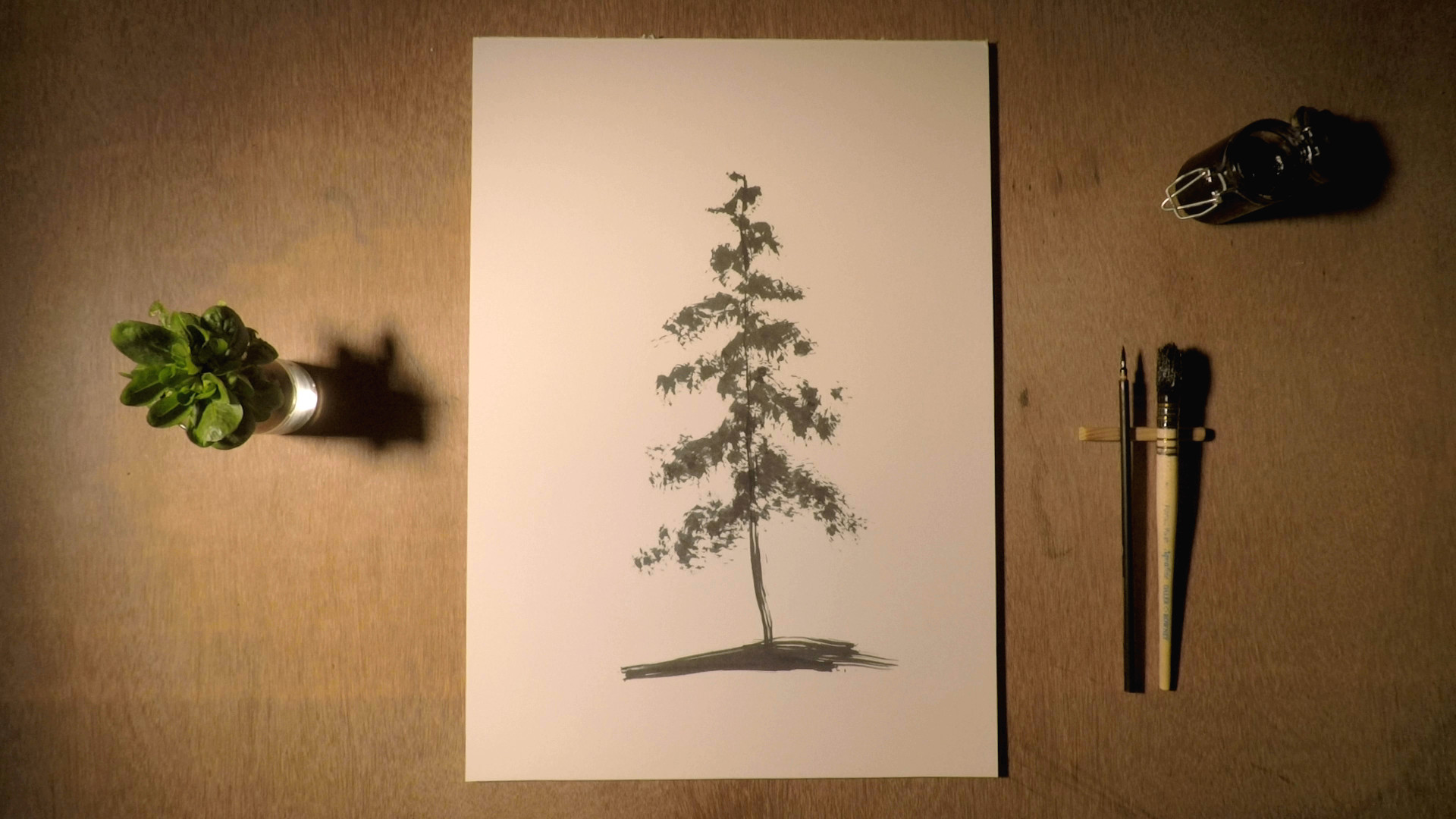 la foresta infinita 0404