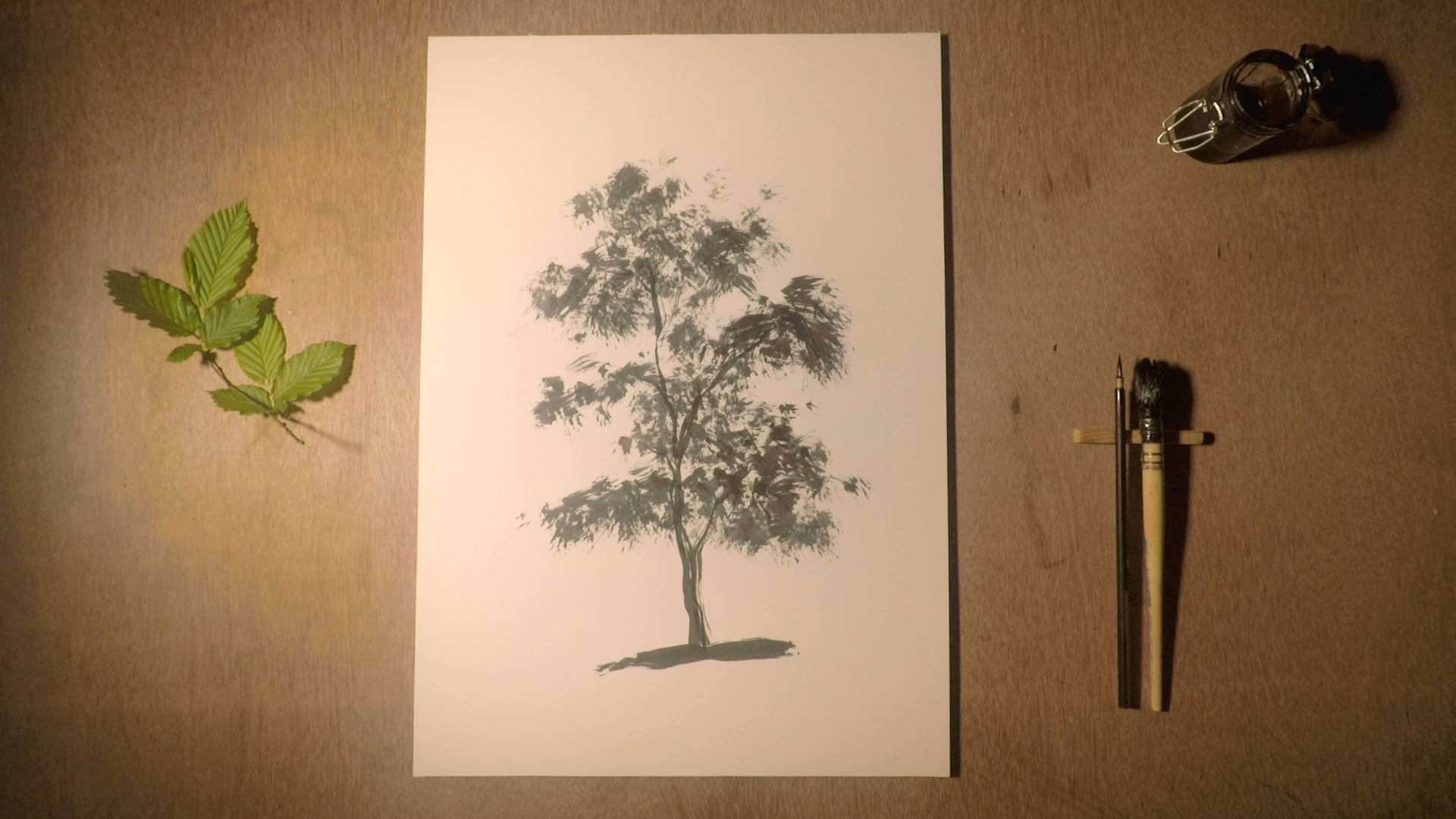 la foresta infinita 0422