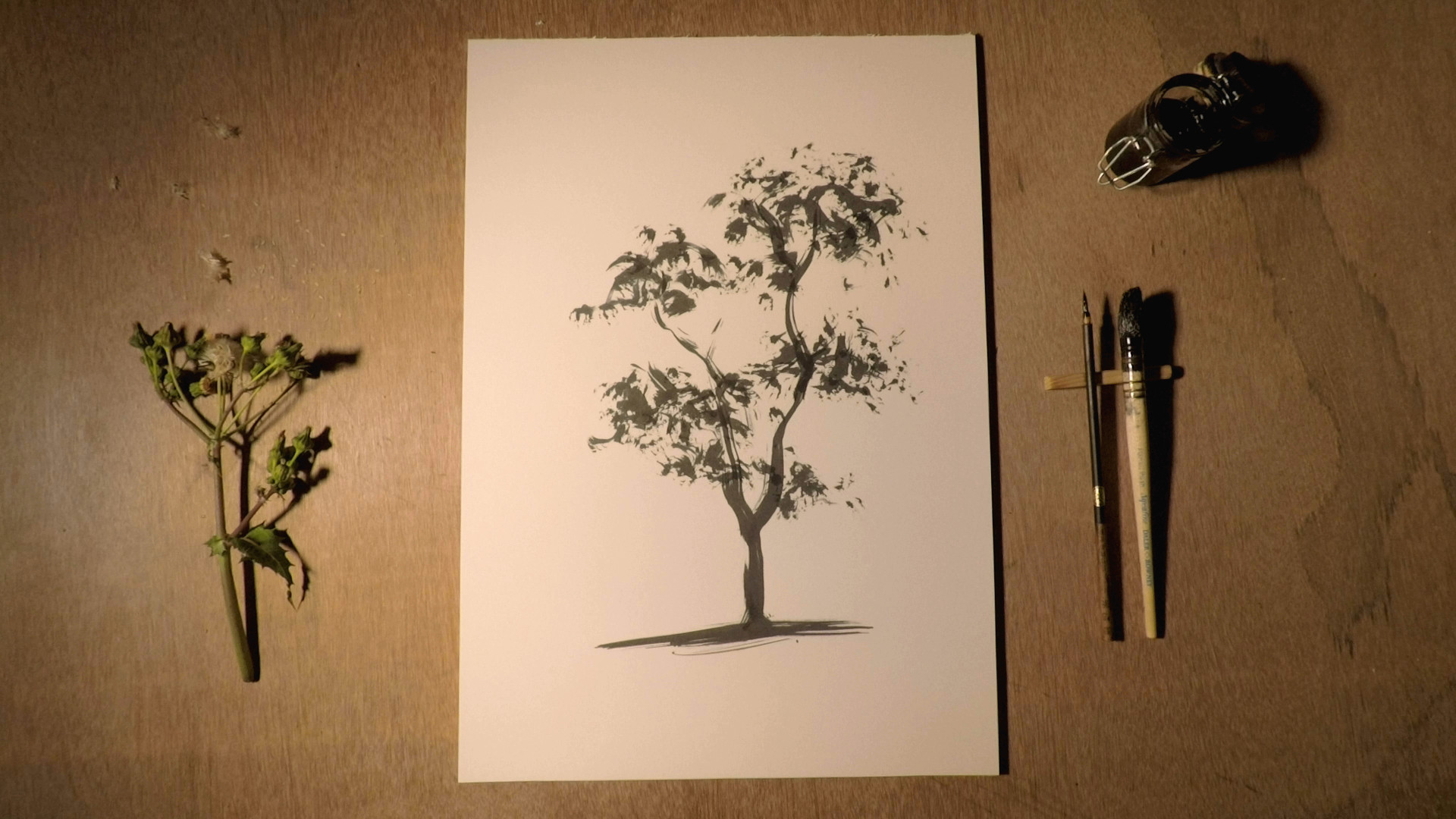 la foresta infinita 0528