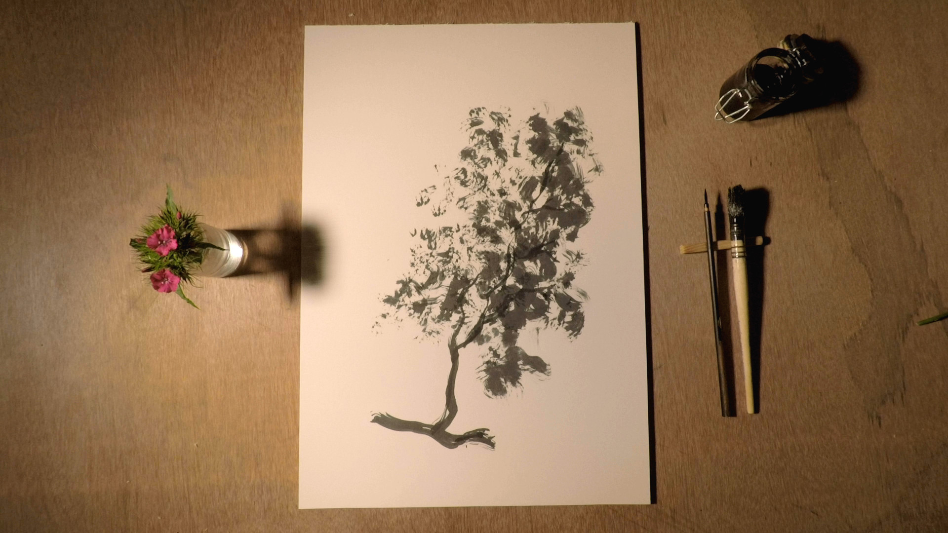 la foresta infinita 0529