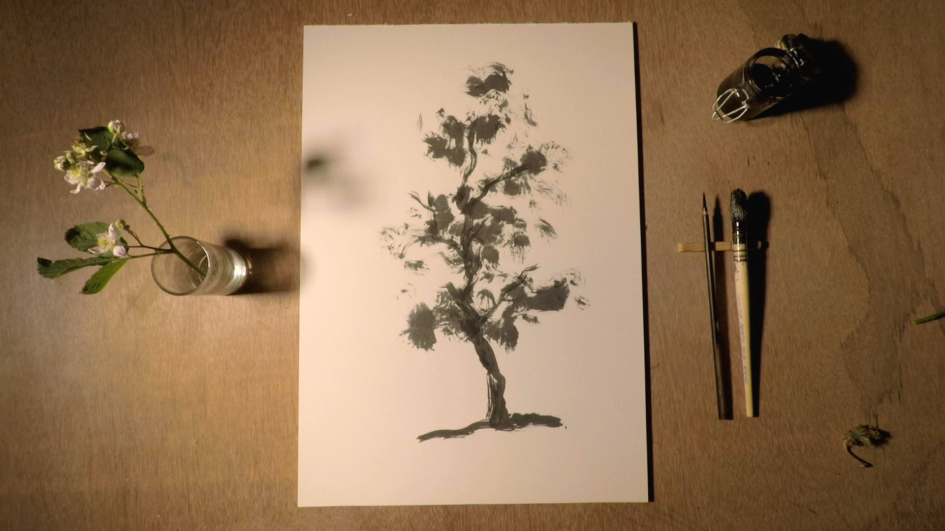 la foresta infinita 0530