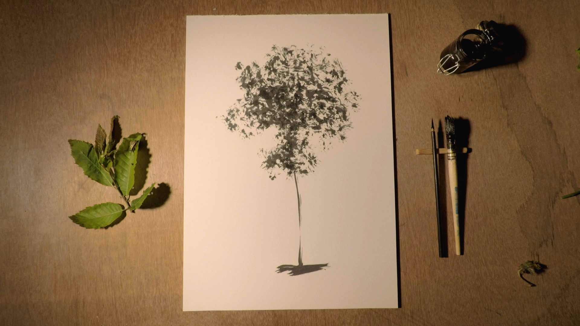 la foresta infinita 0531