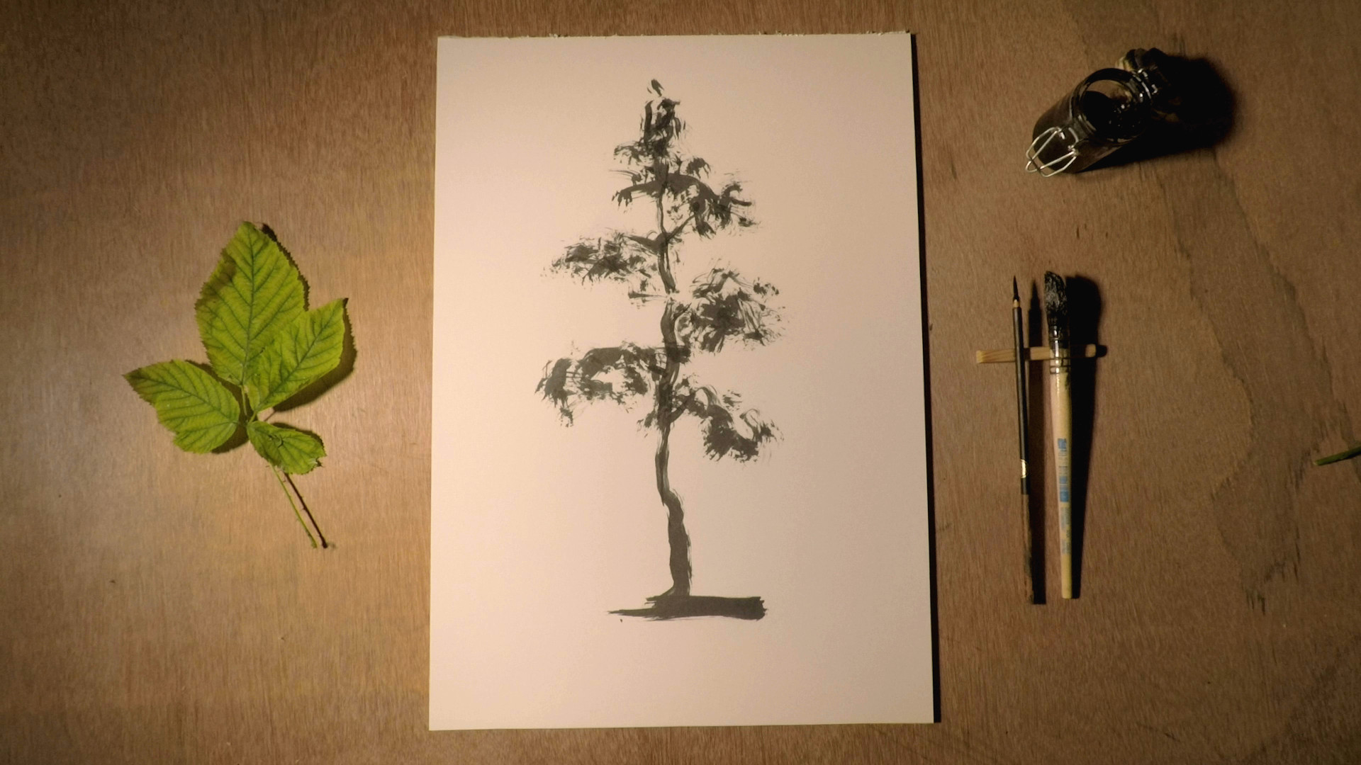 la foresta infinita 0601