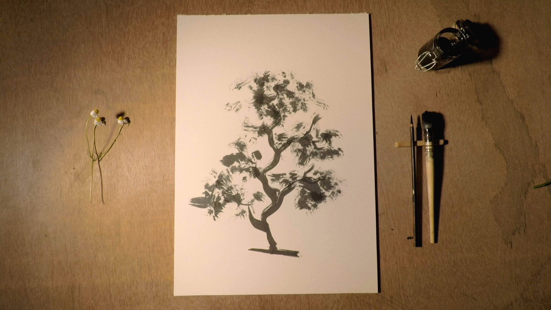 la foresta infinita 0602