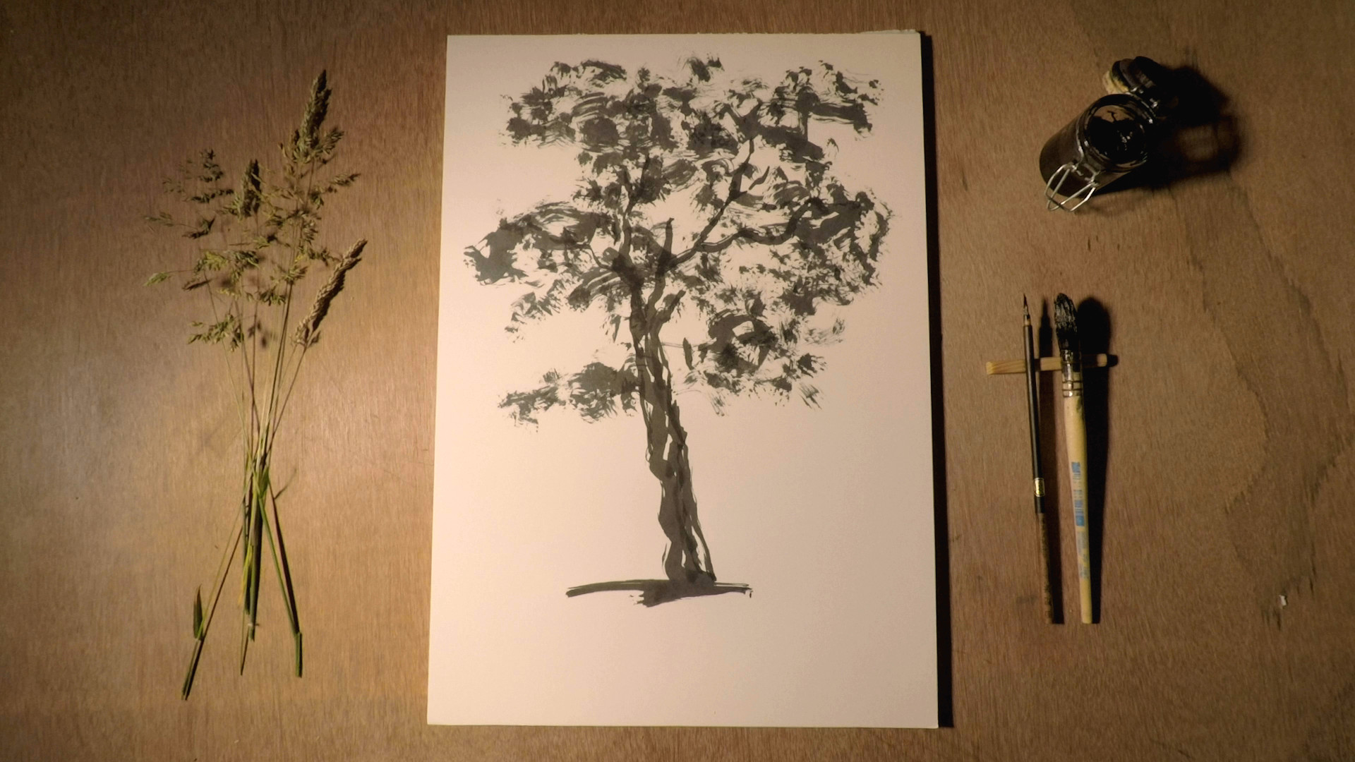 la foresta infinita 0604