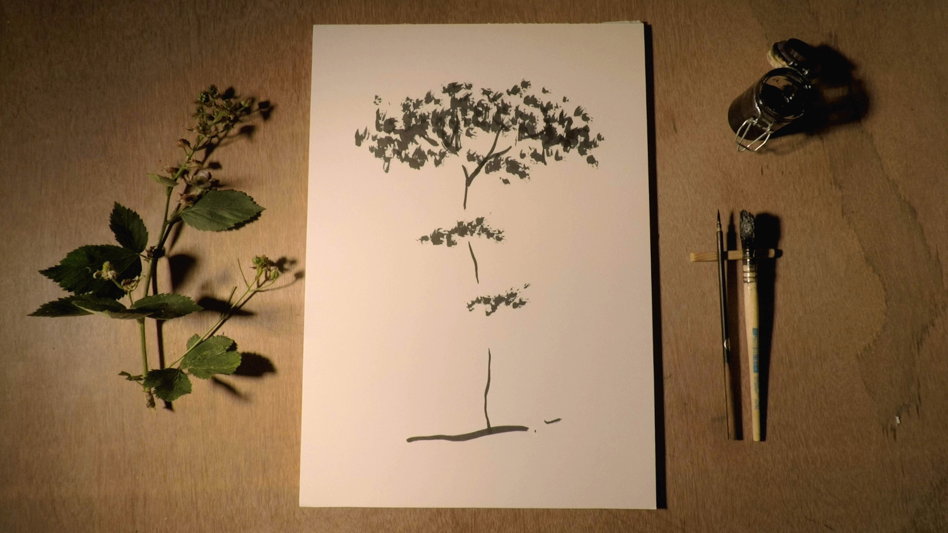 la foresta infinita 0605