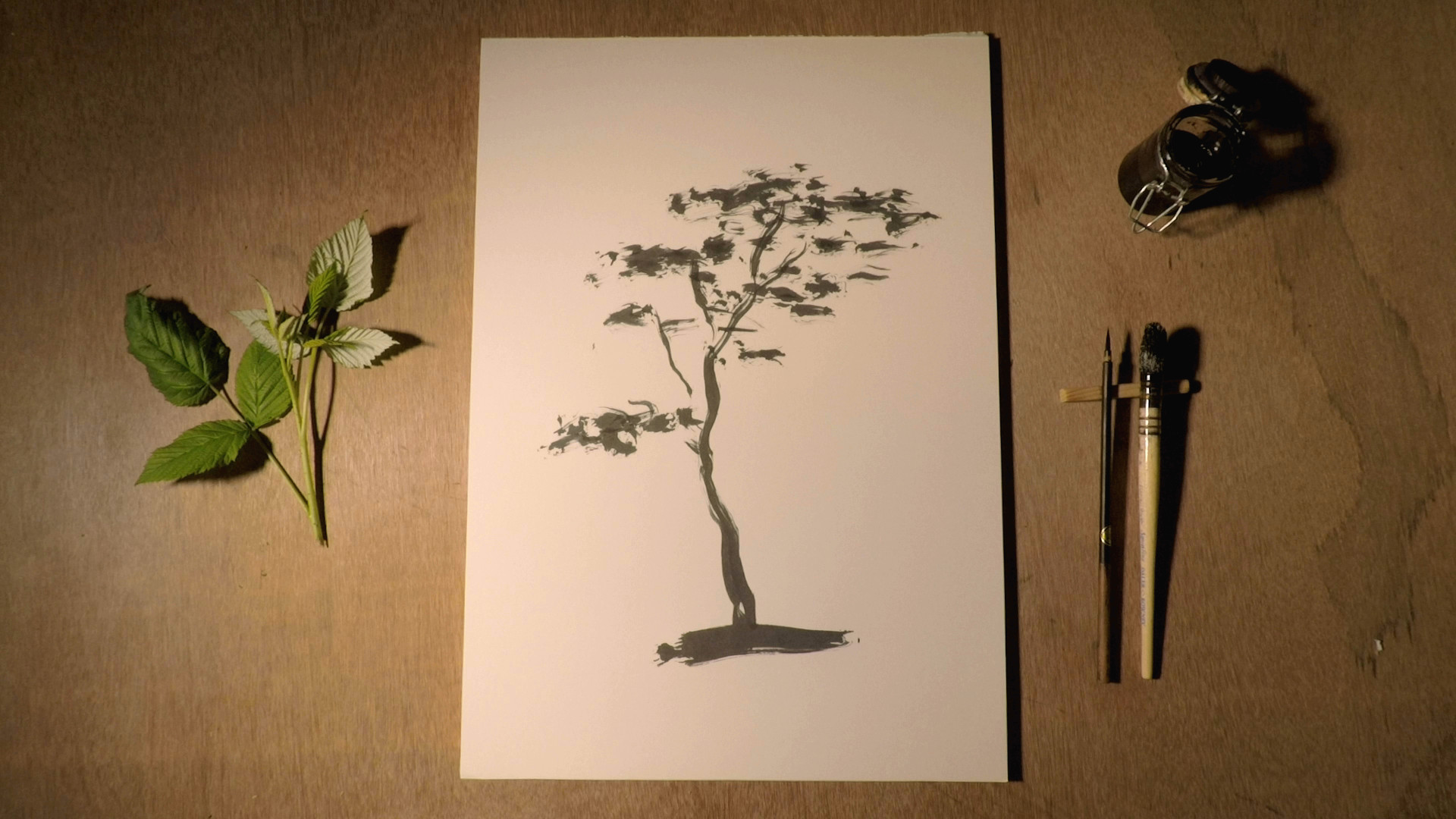 la foresta infinita 0606